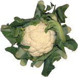 Cauliflower