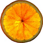 Orange Slice