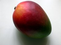 mango fruit